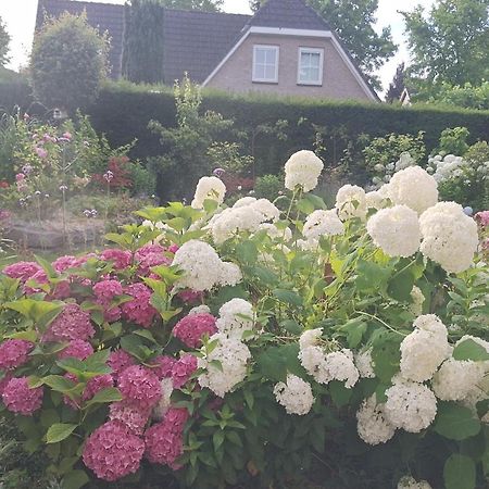 Villa Dajan Almere Esterno foto